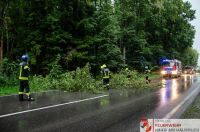_2024-07-06 Baum über Straße B141 Pramwald-0014